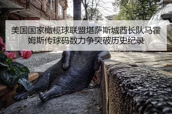 mei-guo-guo-jia-gan-lan-qiu-lian-meng-kan-sa-si-cheng-qiu-zhang-dui-ma-huo-mu-si-chuan-qiu-ma-shu-li-zheng-tu-po-li-shi-3-889.jpg