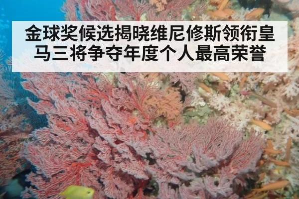 金球奖候选揭晓维尼修斯领衔皇马三将争夺年度个人最高荣誉